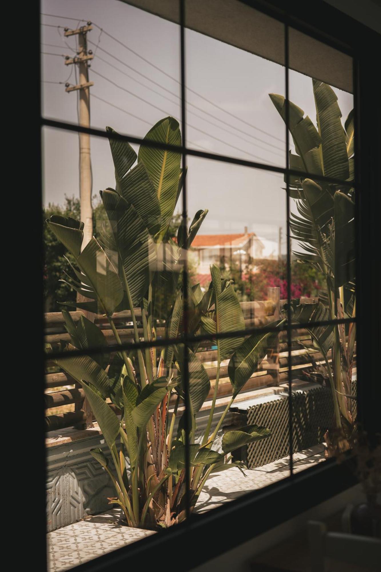 La Vida Otel Urla Extérieur photo